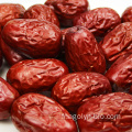 Ruoqiang petite taille Dates rouges en stock